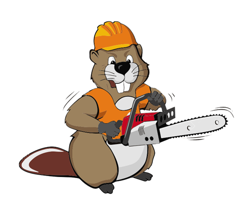logo-large.png